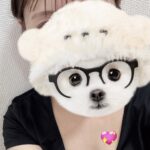 くれは